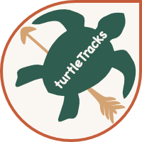 Turtle Tracks